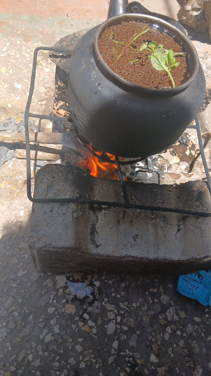 BnatQamar's tweet photo. My landlord has given me only a week to pay the remaining $150 rent, and I'm afraid I won't be able to secure it on time. I have children, and I don't want to be forced to leave the accommodation or subject them to any hardship. https://t.co/X7hxIvBtsm https://t.co/hOmh5ckiWh