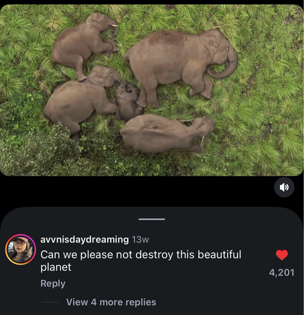 floridamapla's tweet photo. Do you all know who let sadhuguru build his ashram in elephant migration path?

Whoever it is, i just want to see their entire family dead https://t.co/GZ2dLLtced
