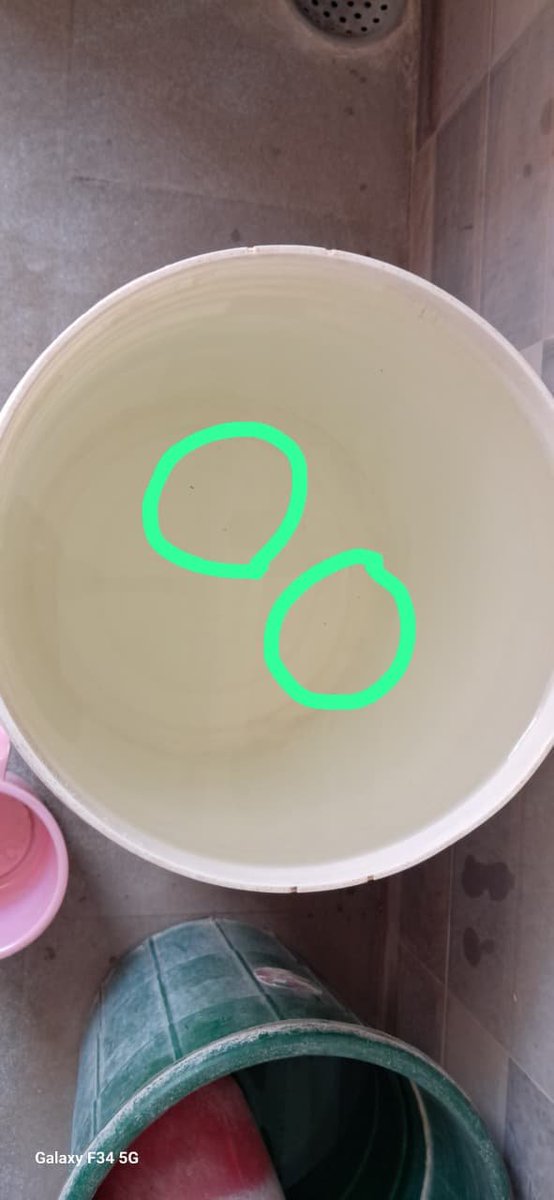 sahuasishkumar's tweet photo. Dirty,germ water being supplied to Badriraj Nagar gosaninuagaon people by @eephbam .What for this, do you mean to get people sick by using this kind of water? It seems they are not filtering or fixing any issues before supplying @Ganjam_Admin @sdmbam @HUDDeptOdisha @BrahmapurCorp https://t.co/Tt7K3xuFJb