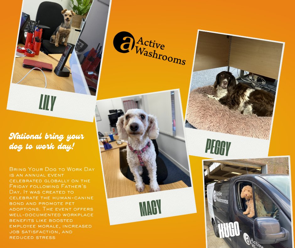 ActiveWashrooms's tweet photo. It's national bring your dog to work day, so we've invited some of our four-legged colleagues in for a day. 
Keep an eye out next week to see what they've been up to! #nationalbringyourdogtoworkday #fourleggedfunloose #annualevent #fridayfeeling #LeadingTheWay #ActiveWashrooms https://t.co/WDsYKNiWMO