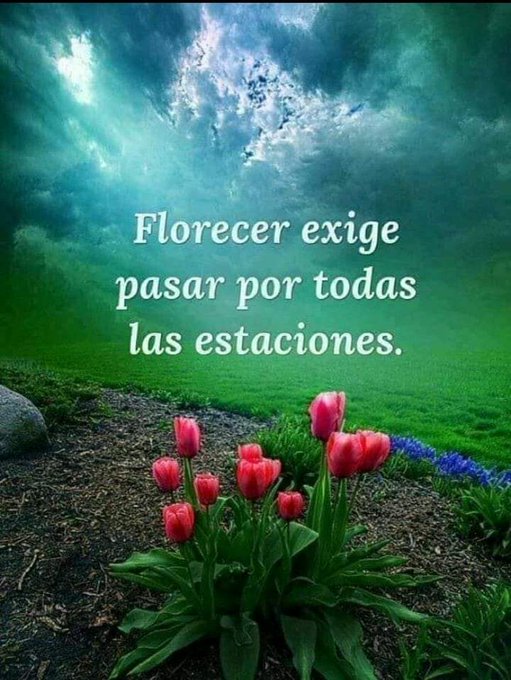 literlandweb1's tweet photo. https://t.co/Mg5XsYkUpk
