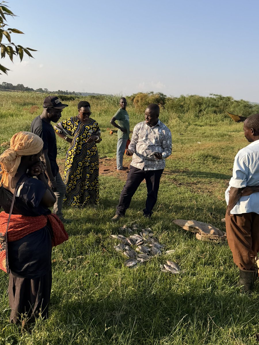 demeyerrrr's tweet photo. Today, acting on intelligence information, together with Hon. Peace Tibyaze, Woman MP for Jinja District, I visited the Wairaka fishing landing site in Walakira Sub-county, Jinja District. We found evidence that some fishermen are engaging in illegal fishing by catching immature fish. This is unacceptable. I have directed the immediate arrest of all those involved. We must protect our fisheries for future generations.
