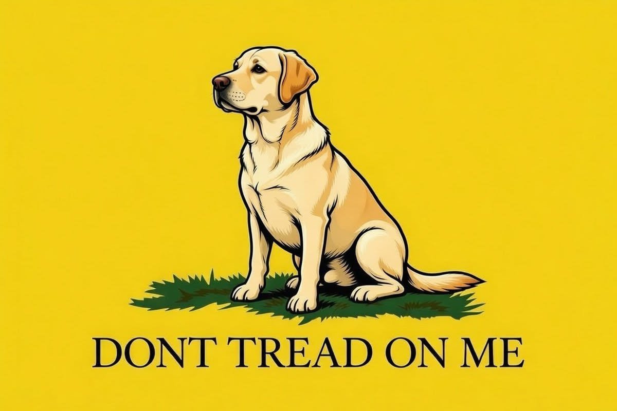 notakeynesian's tweet photo. @NancyMace A phobia is, by definition, an *irrational* fear.

Fear of Moslems whose religious, theocratic ideology explicitly calls for supremacy over non Moslems is not an irrational fear.

And they hate dogs. So they can and will burn in hell. https://t.co/mWrugxzmNR
