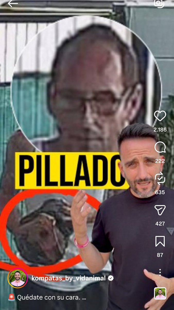 PixiesRichie's tweet photo. 🚨 #PONGO loro 🦜 ROBADO EN #TORRELLANO #ALICANTE🚨

Ha entrado en la casa y lo ha sacado de la jaula. Está denunciado. ¿Conoces a este tipo???  ¿Sabes de alguien que desde hace poco tenga el 🦜? 

Link https://t.co/3rHWi2ULbw

#Elx #SeBusca #españa https://t.co/XmTudwBF53