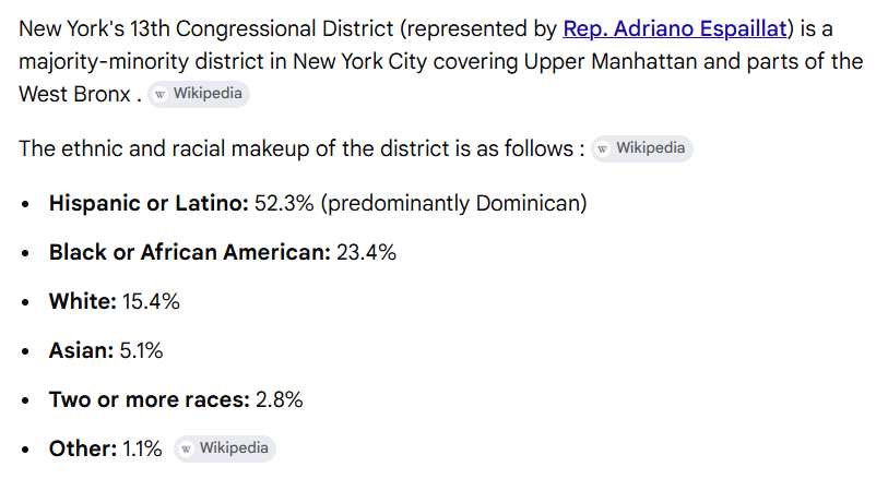 bumbadum14's tweet photo. Institutional dems and neoliberals are losing their party. Instead of addressing the real issues they fall back on the tried and true method of blaming Whites. 

But all the obfuscation and bullshit stats can't handwave away the fact that this district is 15 PERCENT WHITE https://t.co/CBQQCGVdwd