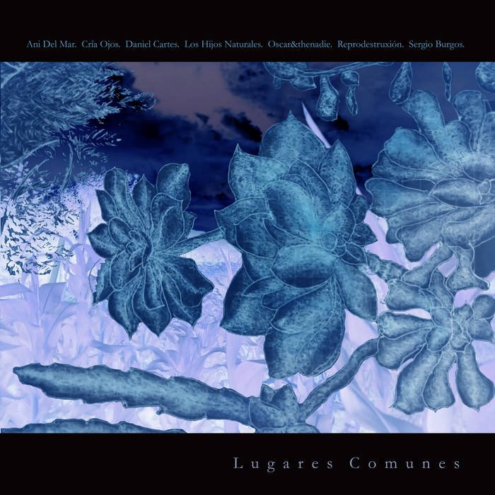 CassavetesRS's tweet photo. Actualidad Cassavetes:
Desde San Vicente De Tagua Tagua, Chile;nos llega
"Lugares Comunes",una compilación que, en
su diversidad, construye una obra, desde la energía del pop alternativo y la introspección, nos llevan por un una narrativa sonora hermosa y delicada.
En Bandcamp. https://t.co/lYwzjuh6Kc