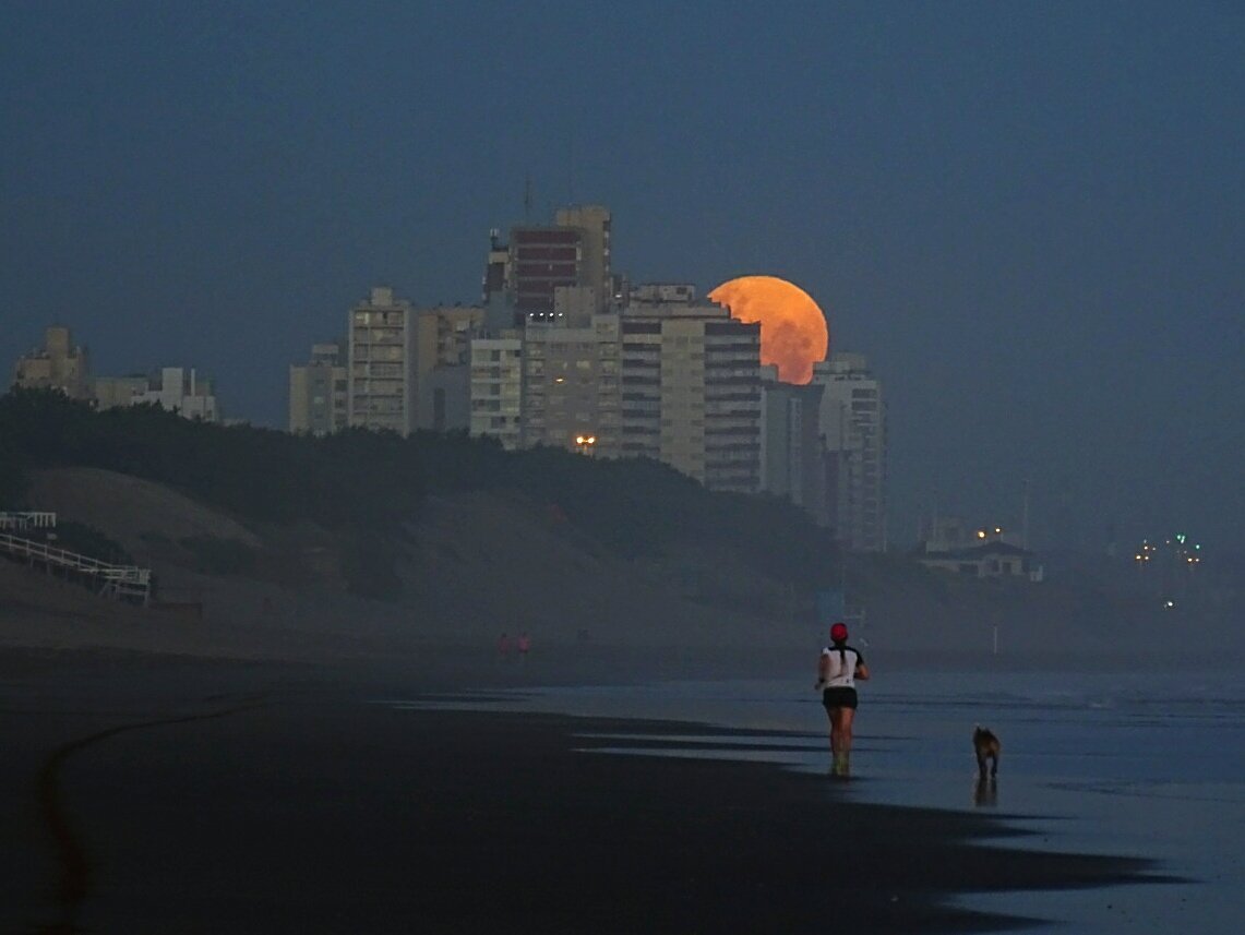 turisargentina's tweet photo. De un lado caía el Sol y del otro salía la Luna.  ¡Impresionante Necochea! 🙌🇦🇷💙

Gracias @MaraGab35910767 por compartir tus hermosas fotos 🙏 https://t.co/Z80UKAiGzv