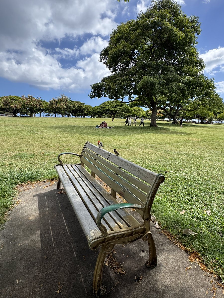 AsukaHula's tweet photo. 昨日のAlamoanabeachpark https://t.co/CH7kZ3hjls
