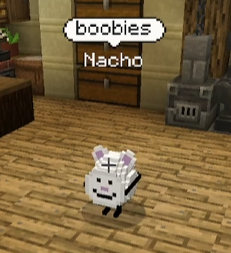 bobaeyedseal's tweet photo. THE WISE NACHO HAS SPOKEN #QSMP2 https://t.co/aZiuedUgz9