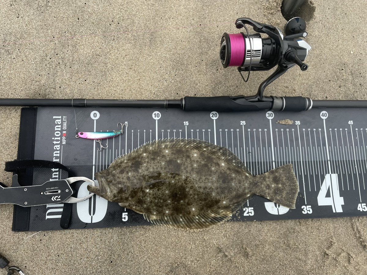 BB47OSP's tweet photo. 海にいて地震はマジで勘弁😱
幸いにも津波注意報なかったんで継続🎣
厳しいながらなんとか1枚キャッチ！！ https://t.co/bsl1sU7yLK