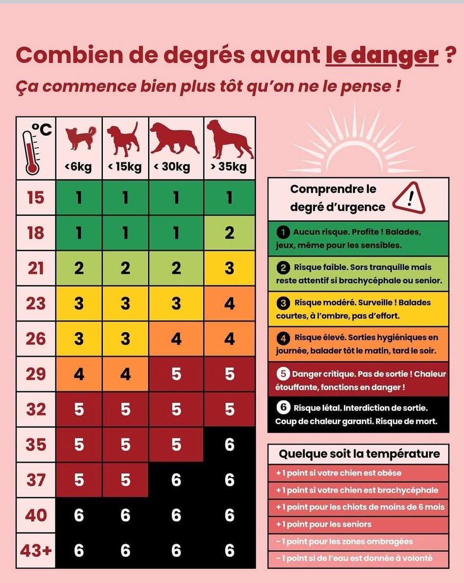 NananasShop's tweet photo. Je ne vois pas passer cette image sur ce réseau social alors voilà.

Faites attention à vous et vos loulous❤️ https://t.co/EnSuOcHutl