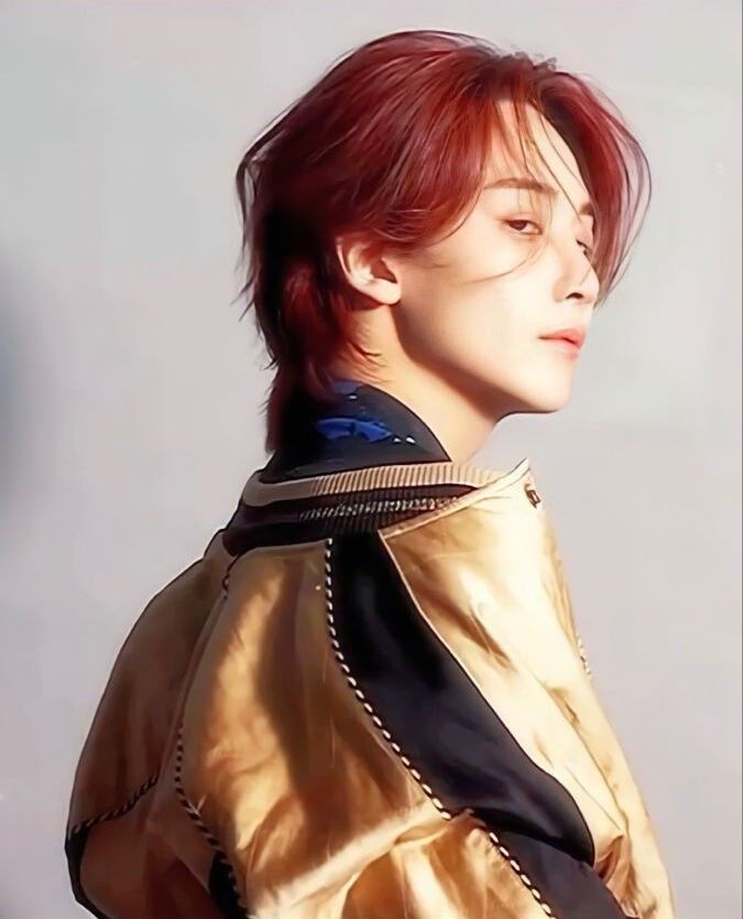 jeonghannisms's tweet photo. rip red haired jeonghan you served so well but i know we are never seeing you again 😭 https://t.co/dq0cGIoxwM
