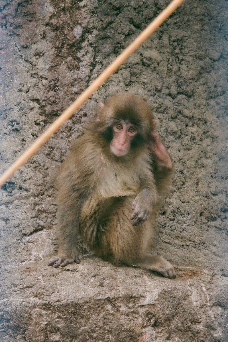 Tweety_R_25 tweet picture
