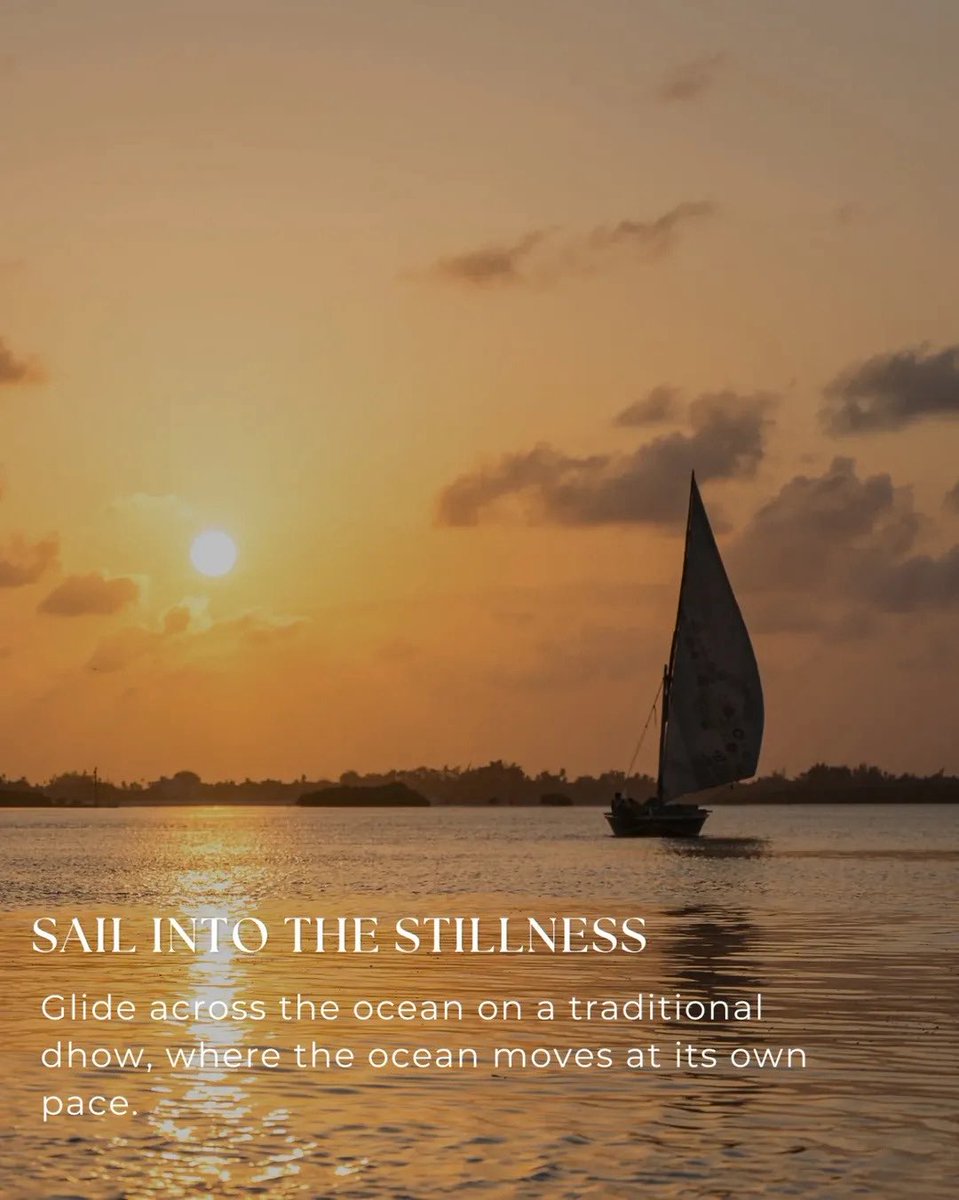 magicalkenya's tweet photo. Meanwhile… life looks like this in Lamu.​
​
No traffic. No rush. Just dhow sails at sunset, centuries of culture, and days that move at their own pace.​

Some people are already here… others are still saying “soon.”​

#lamukenya #themajlisresort #luxurycoastalstay #swahiliheritage #luxurytravelafrica​

Carousel Credit: @themajlisresort_lamu
