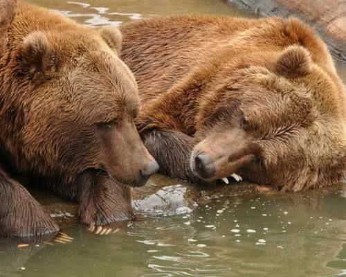 Wildlifezdqg's tweet photo. Hello https://t.co/7SkCX6ZLJ8