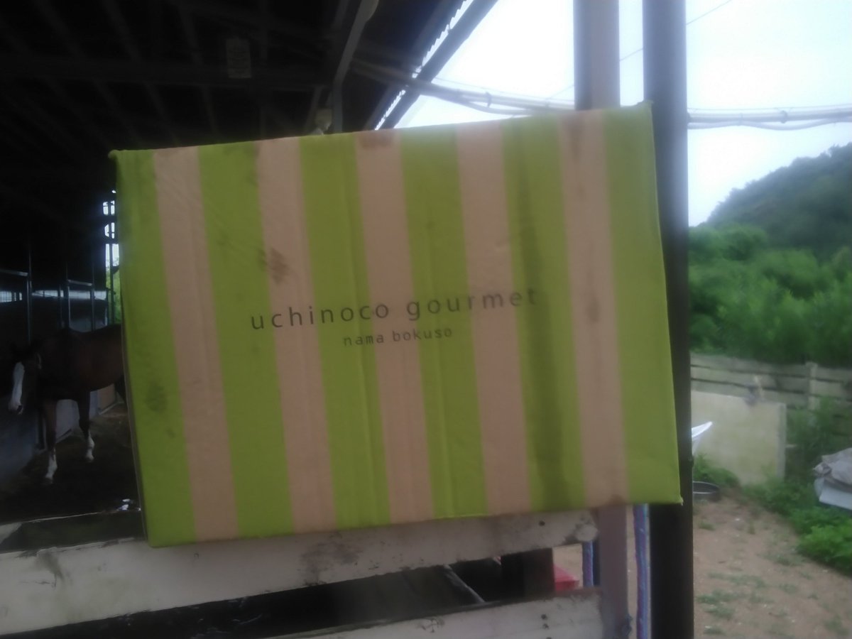 keimeifarm's tweet photo. 6/24付でBON様よりお志をいただきました。

電気代に充てさせていただきます。

そして、いつもご飯を送ってくださるキャシー様より、パックご飯をいただきました。

できるだけ食費を切り詰めながら頑張っていますので、とても助かります。

M様より、トントロちゃん宛てに生牧草を🌿最高です🎵 https://t.co/84WjCIRQTX