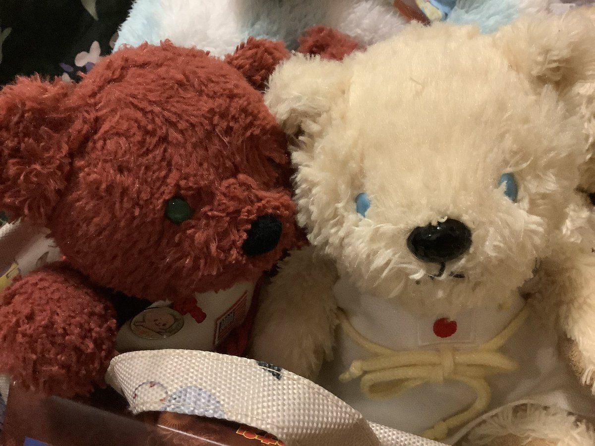 necopanda4's tweet photo. ﾍﾛﾝﾍﾛﾝで帰宅したらかわいいがお出迎えしてくれて腰抜かすかと思いました。🌿🐻🫶🐻‍❄️🌿 https://t.co/XMidHHRnZU