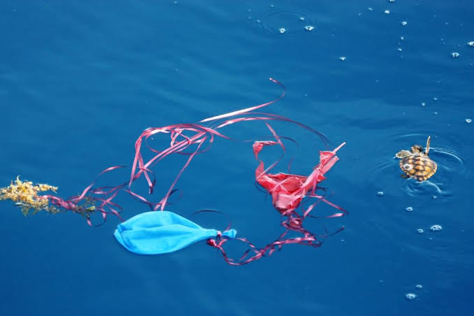 giveashitnature's tweet photo. Here it is, my occasional reminder that balloons don't get up to grandma in heaven. They come back to Earth as trash.

Sometimes stuck in a tree. Sometimes floating in a river. Sometimes wrapped around the neck of an animal.

Keep the celebration of life, but lose the balloon release.