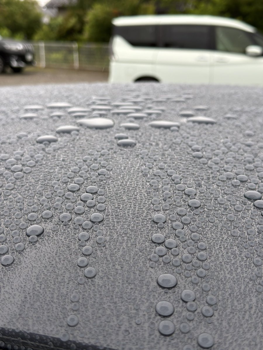 Mazda3_F1's tweet photo. いい撥水💧 https://t.co/2JTX22OZt0