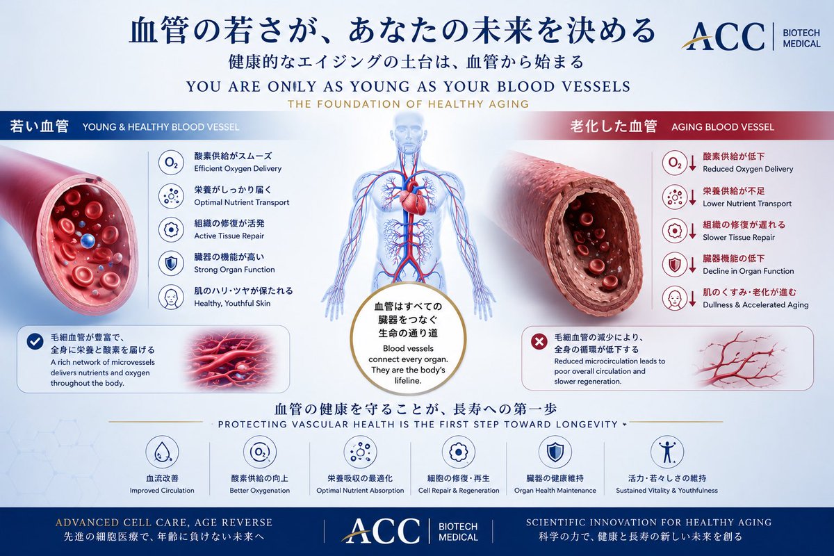 ACC_BioMedical's tweet photo. You are only as young as your blood vessels.

Healthy circulation supports:

✓ Oxygen delivery

✓ Nutrient transport

✓ Tissue repair

✓ Cellular vitality

Modern longevity medicine increasingly focuses on vascular health.

#Longevity
#HealthyAging
#ACC600HGF https://t.co/hPNZAl534f