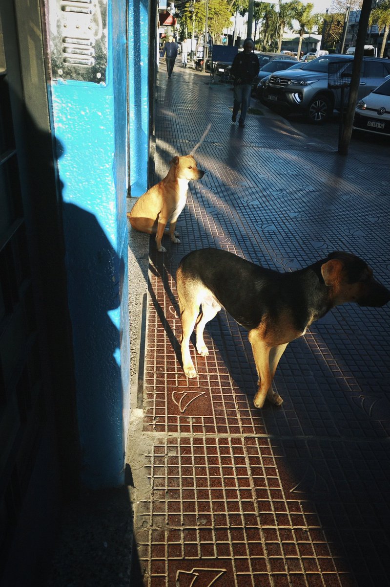 nanidani00's tweet photo. Cómo te vas a sentar en el cordoncito flaco TE AMO https://t.co/Jxx6B6CCGC
