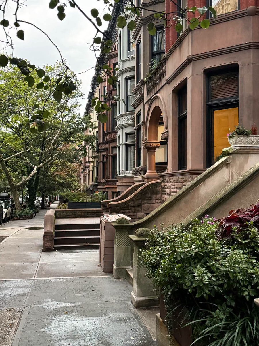 naturebeauty760's tweet photo. A love letter to Brooklyn Brownstones after rain 💖☔️💖🌧 https://t.co/5o0UJuikKI