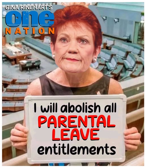 Ozzytourer's tweet photo. Hanson turns up in Canberra to pull another stunt for the cameras!
Hanson misses work days but can turn up to perform clown stunts!
We saw how Australia faired when we had a leader that was only interested in stunts!
Let's not forget #bullshitboy #LiarFromTheShire & his stunts!
Now Hanson thinks this is how you run a country by performing stunts!
If she went to work she might know how policies are funded!
But she is too busy playing the clown!