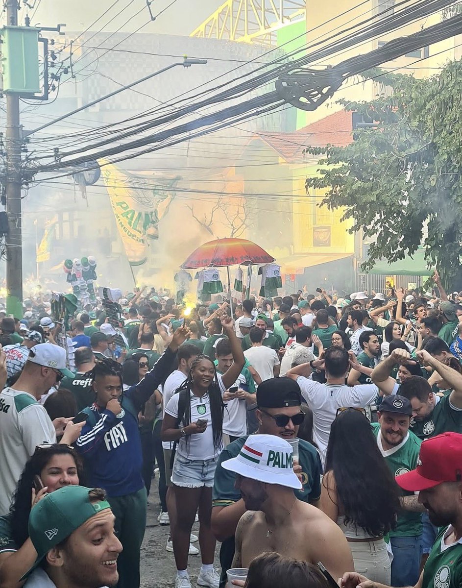 umbertocontiho3's tweet photo. Palmeiras em cenas… https://t.co/XXuo7cvAZq