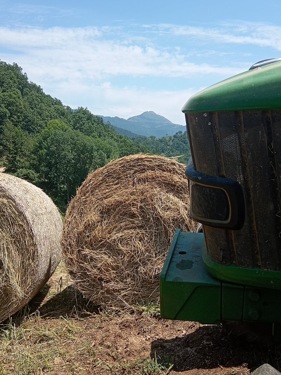 xaiecologic's tweet photo. No us poden treure el que teniu al cap i al cor, manteniu-vos fidels!
#Rebanks ( #TheBoss)
#LaVidaDelPastor
Herba, John Deere, closes, sembrats, muntanyes, boscos, ruralitat, pagesia.
#Pertinença
#Som
#ElMeuPetitGranMón https://t.co/s46ZHLAPdw