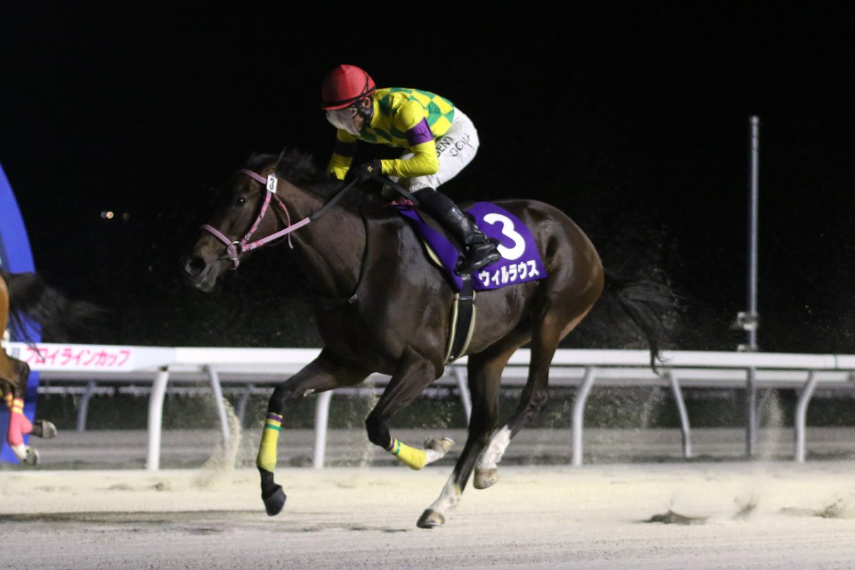 JBC競走 (@JBC_HorseRacing) / Posts / X