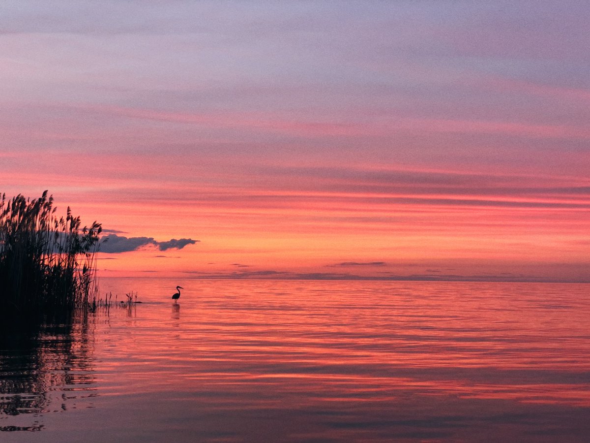 rochester's tweet photo. ✅ote 👉 https://t.co/F0g94P5J0K for #roctopshots. #roc https://t.co/hAQGDMPiI8