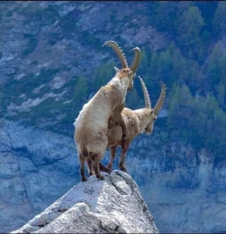 ManBarood0's tweet photo. @AdnanBawazir14 ميرا وفدغم https://t.co/KED1RRQUlx