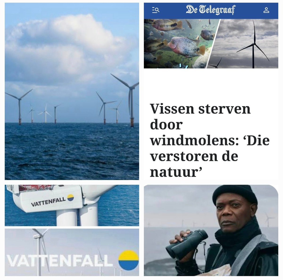 BSR Ridderkerk 🇮🇱 tweet media
