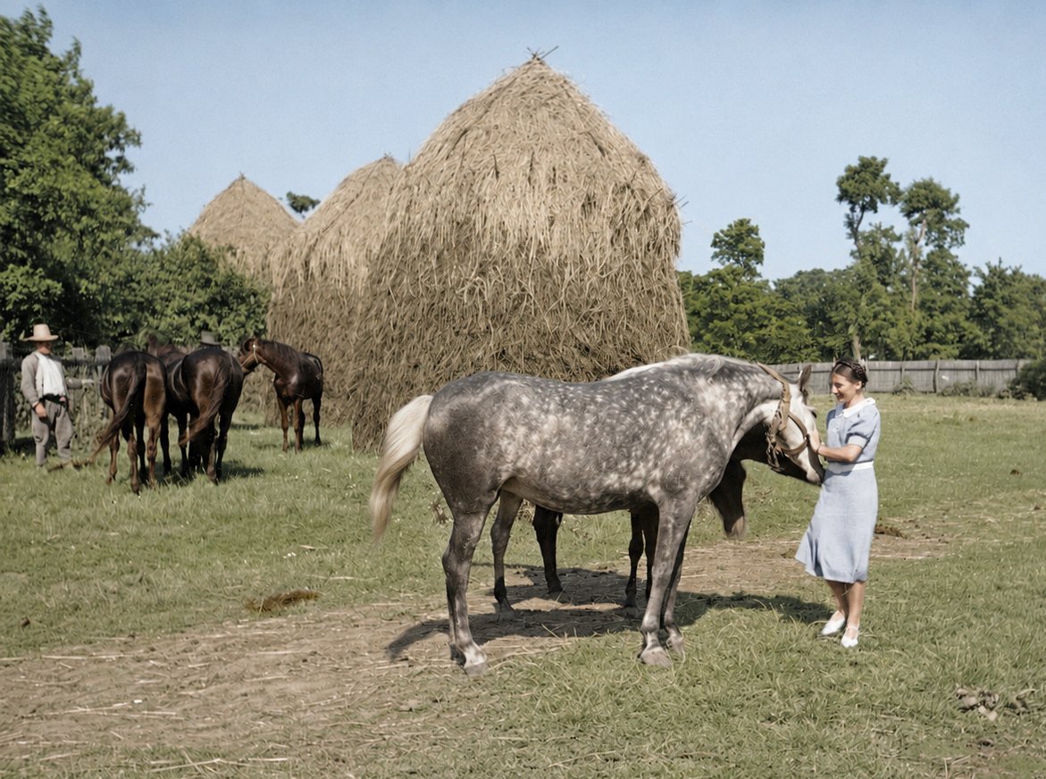 ipngovpl_eng's tweet photo. A summer scene from the eastern borderlands of the Second Polish Republic.

📷A girl with horses in a meadow in Albinówka near Zabłotów, in the former Stanisławów Voivodeship of the Second Polish Republic.