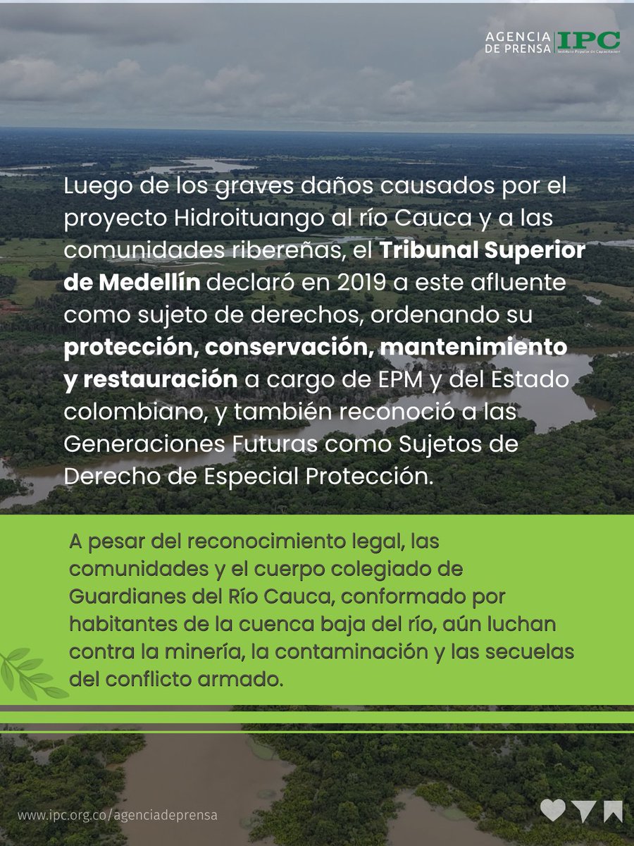 IPCoficial's tweet photo. #RíoCauca | 🌿Este aniversario coincide con la reciente validación del Plan de Acción, una hoja de ruta técnica y comunitaria que pretende dar respuesta a las presiones históricas que asfixian la cuenca.

✊🏾El éxito de este Plan de Acción y de la sentencia misma no se medirá únicamente en la firma de decretos o la creación de documentos CONPES, sino en la capacidad de asegurar que las comunidades puedan seguir viviendo de ciénagas sanas, libres de la amenaza de los químicos y la degradación minera.

📱Conoce más en: https://t.co/wBNwyWxxBl