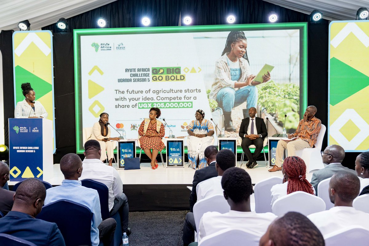 HoseaSsebakijje's tweet photo. Earlier today we represented @BusitemaUni at the 5th season of @AyuteAfrica innovation competition launch
It was a great interaction with the theme GO BIG GO BOLD
We are looking for more engagements to see how innovation shifts to
Thanks to @Heifer_Uganda @BusitemaUni
#AYuTe https://t.co/hbMP0ERoBG
