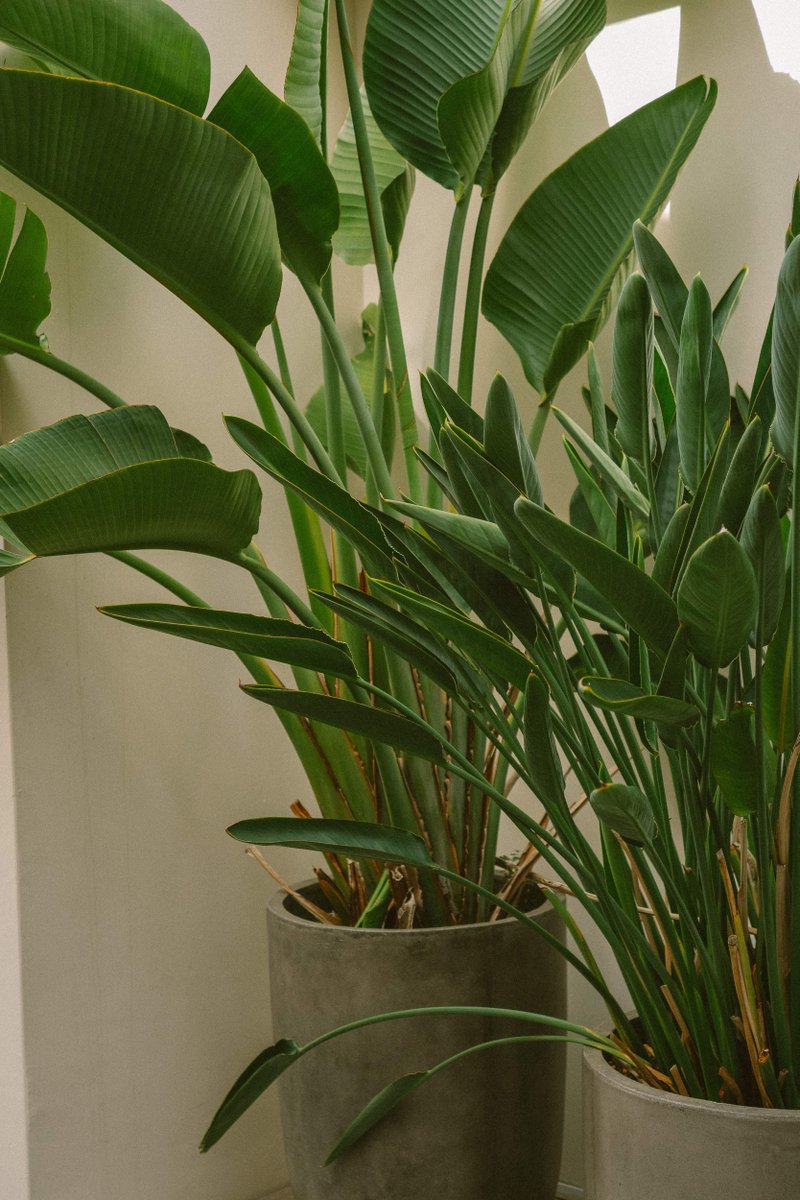 AltoRealtyGroup's tweet photo. 🌟 😉 🌳 🌾 Before you chase more attention, clean up one offer. https://t.co/GBG2fhtE1h