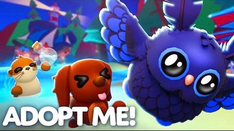 TheUpliftA's tweet photo. FIRST LOOK at all new pets coming with Summerfest Week 2! 🦉✨

Which one is your favorite? https://t.co/WETIhzxfQx