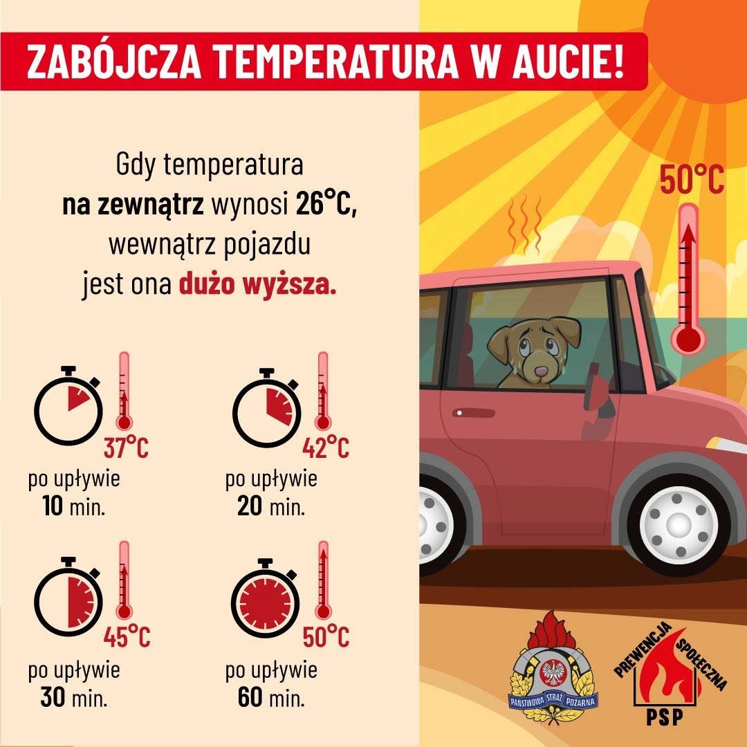 PSPNML's tweet photo. ☀️🌡️UPAŁY NAD WARMIĄ I MAZURAMI – ZADBAJ O BEZPIECZEŃSTWO!🚒

Więcej informacji link⬇️
https://t.co/N1HlLg36eK https://t.co/2gFbGG4XhW