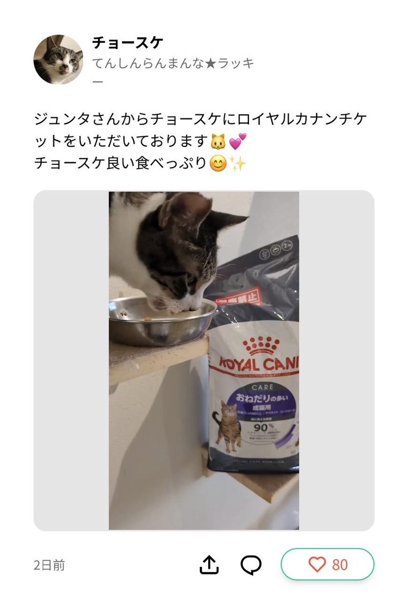 neco_note0222's tweet photo. /
ロイヤルカナン フード
すでにご支援が集まっております✨
\

ご支援くださったみなさまありがとうございます🍀
猫たちの日々の食事をサポートできる
【ロイヤルカナン特別チケット】🐟

手数料無料のため、2,000円すべてが猫の食事のために活用されます♪

↓つづく https://t.co/sMpucH9oCb