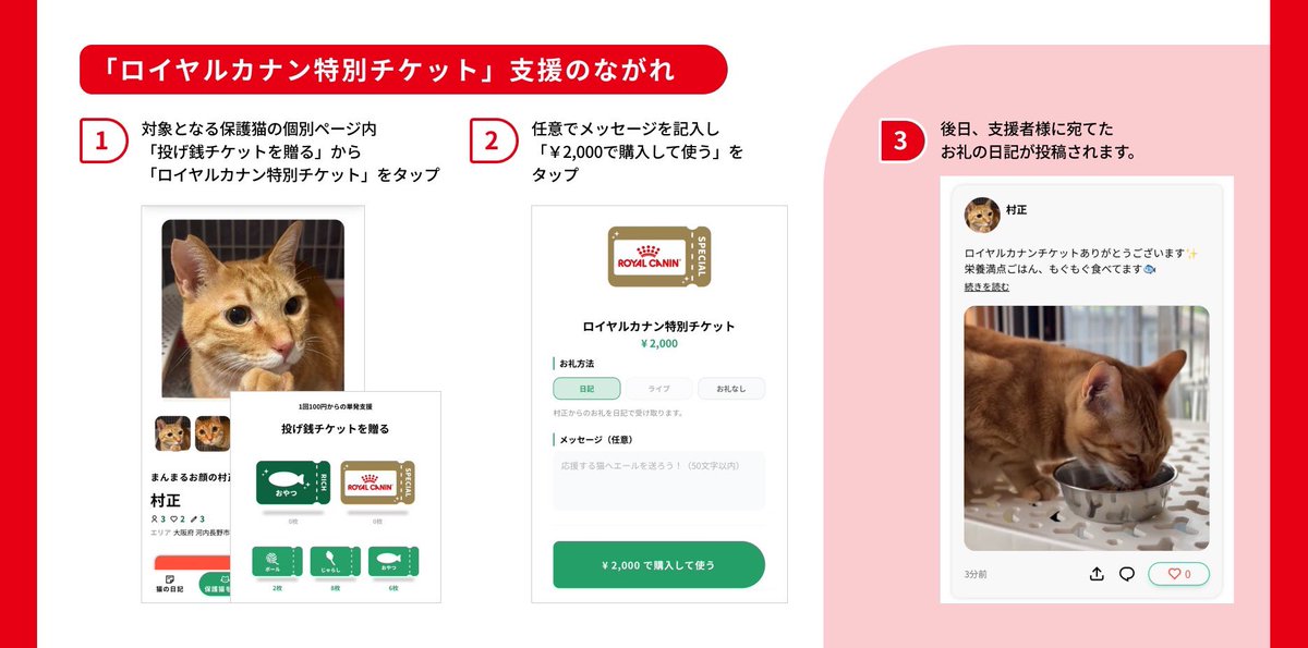 neco_note0222's tweet photo. 現在ロイヤルカナン特別チケットを募っている団体はこちらです🌱

・NPO法人ゆきレオ
・猫の惑星にゃーくる
・てんしんらんまんな★ラッキー

上記団体で暮らす猫のページにてチケットを贈ることができます！
(これから拡大していく予定です♪)

▼ネコノートサイトはこちら
https://t.co/8udPW4DfDs https://t.co/PThMQVN7sk
