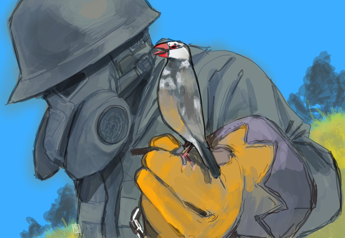 Nafe_nasutetsu's tweet photo. Falconry with a ferocious bird of prey https://t.co/9cAwS8g0y9