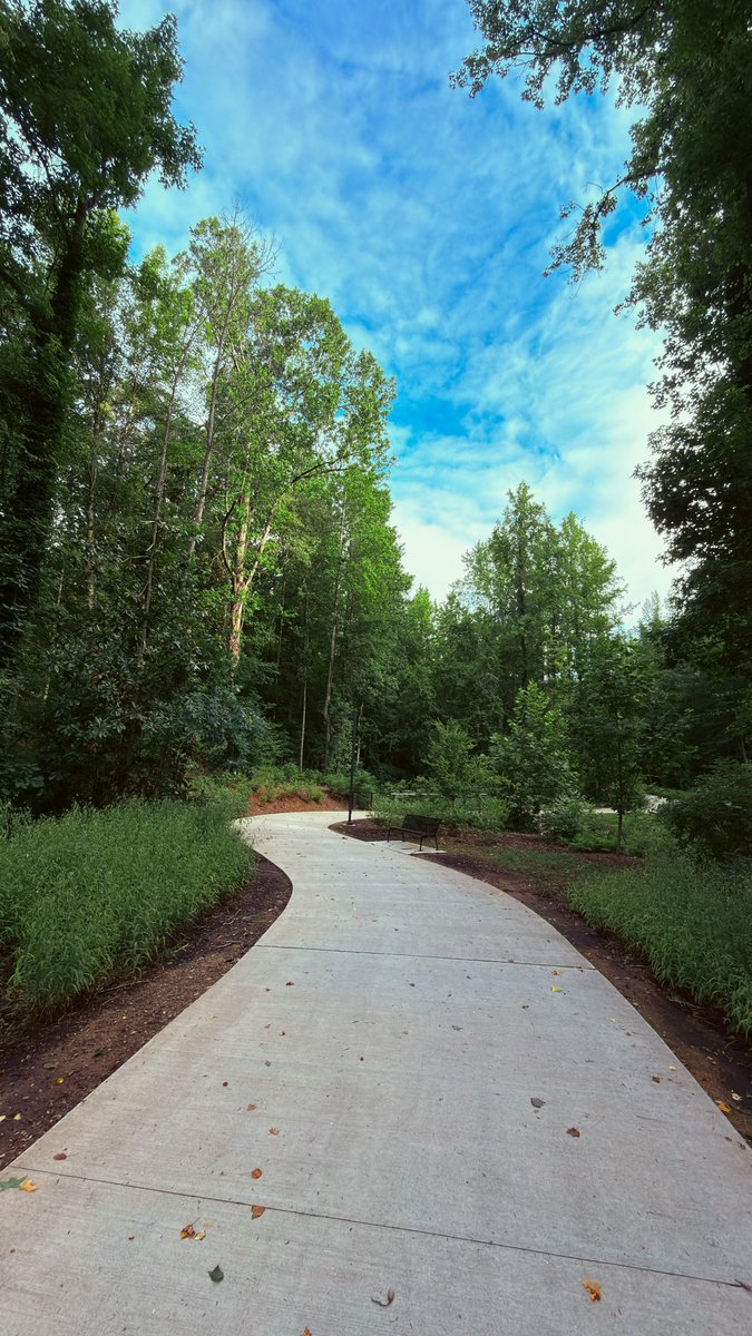 AnkurCDas's tweet photo. Couple of images from my Alpharetta mornings. The tall Loblolly Pines, native to the Piedmont region, were great  company during my walks. https://t.co/4cb3hMV77W