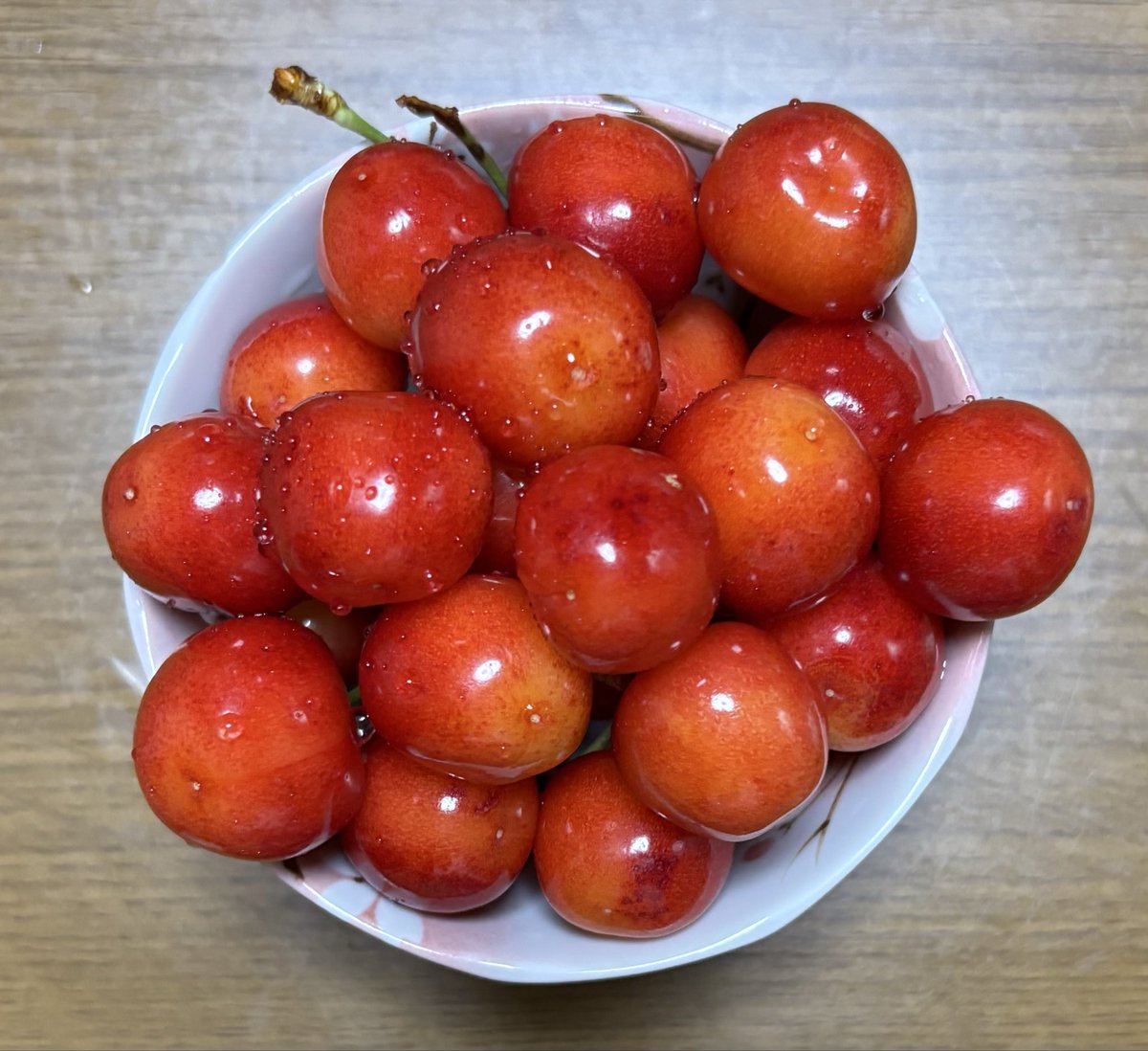 dstomanos's tweet photo. さくらんぼ✨🍒✨
これは紅秀峰😊7月上旬まで楽しめる🍒✨美味しい🥰 https://t.co/NeN2gnbDaS