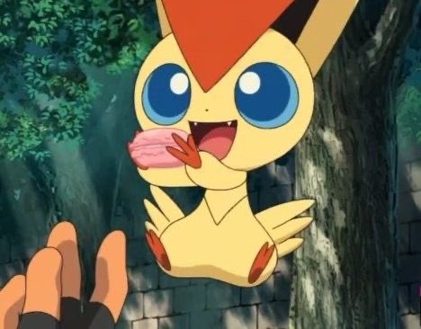 pokehunt_er's tweet photo. 내가 좋아하는 또 다른 토끼 ...🥹🥹
비크티니 승리요정이라 
브이포즈 디폴트인거 너무귀여움....🙂‍↕️ https://t.co/cYPlZLHQ1f