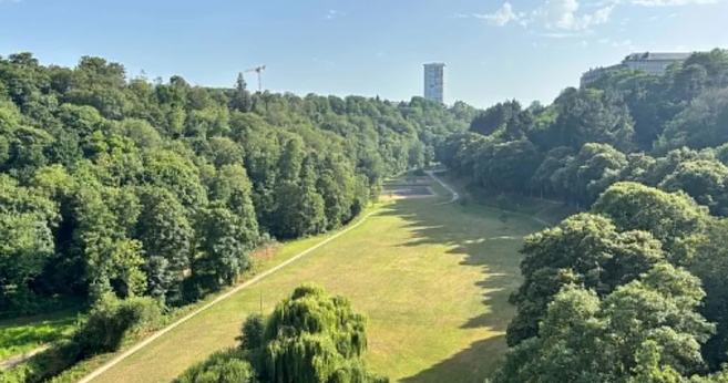 TheGriftReport's tweet photo. Yet another migrant attack...

Teenager Initially Reported As 10 Year Old Charged With Attempted Murder And Rape Of Jogger In Saint Brieuc After Arriving From Democratic Republic Of Congo

A teenager initially reported as 10 years and 6 months old has been charged with attempted murder and attempted rape with a weapon in Saint Brieuc after medical tests confirmed he is at least 14 years old and arrived from the Democratic Republic of Congo about a year ago.

The minor allegedly attacked a 22 year old female jogger with a knife in the Vallée de Gouédic area on June 15 2024 trying to force her to undress which she refused before he was arrested on June 23rd with the knife found in his school bag.

He was placed under judicial examination for the serious offences and the case has now been updated following bone density examinations that showed the initial age based on identity documents was incorrect with the teenager enrolled in a CM1 class despite his actual age.

The victim escaped after refusing the demands and the minor faces significantly heavier penalties now that he is confirmed to be over 13 with possible provisional detention as he is considered capable of discernment under French law.

The incident in Saint Brieuc has led to the charges of attempted murder and attempted rape being maintained with authorities continuing the investigation into the attack on the jogger.