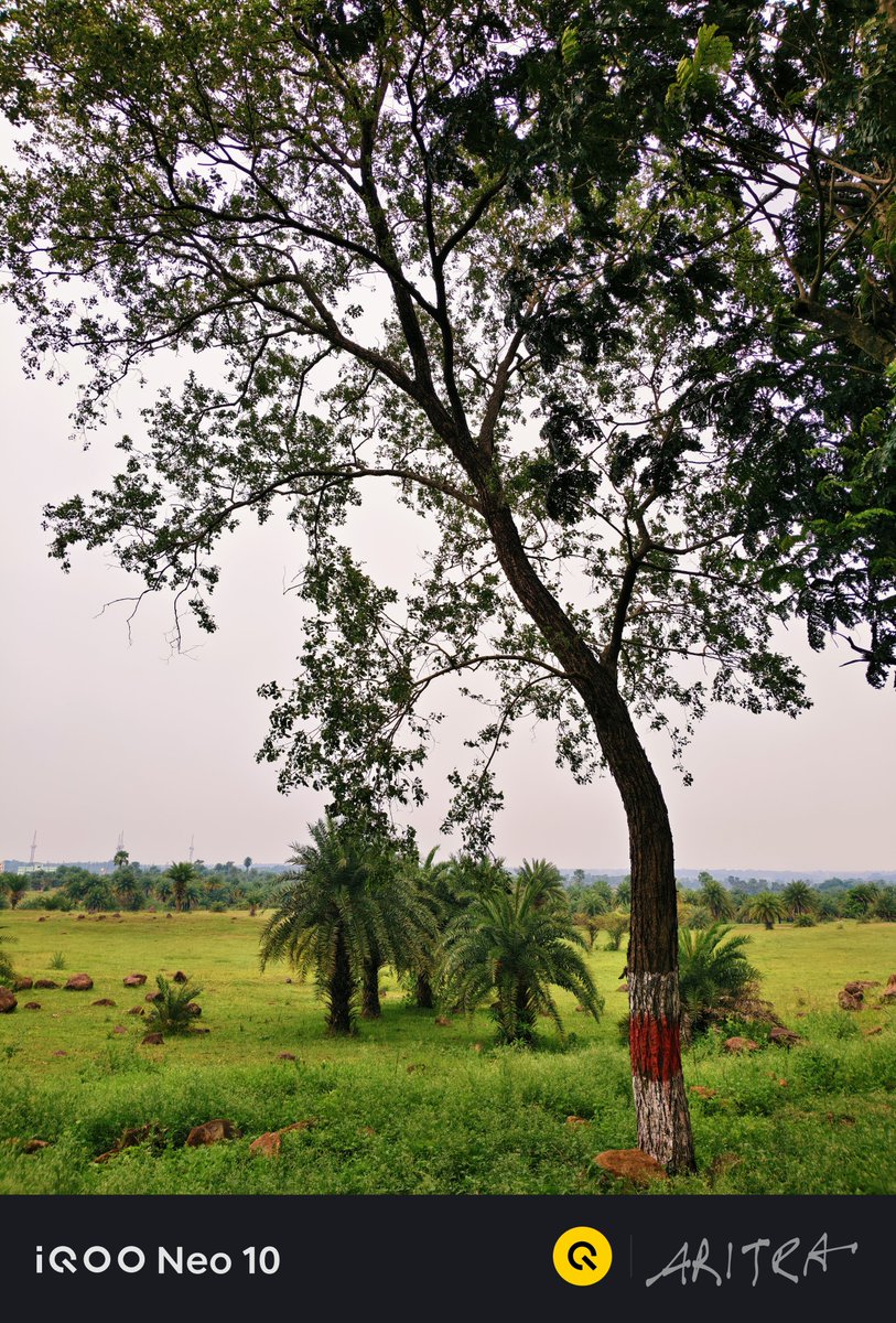Aritra_Argha's tweet photo. 🌧️ Monsoon Has Arrived! ☔💚 shot on iqoo NEO 10
[ 50MP Sony IMX882 (OIS) ]

#shotoniqoo #neo10 #iqoocommunity https://t.co/7kArUcZPAg