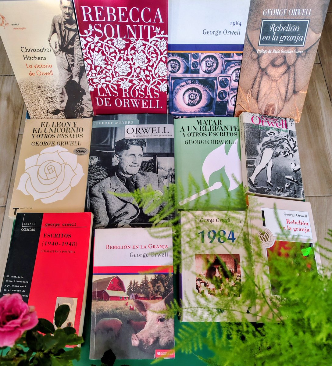 Sobreperdonar's tweet photo. Aniversario de nacimiento de George Orwell. https://t.co/muj12ZejMO