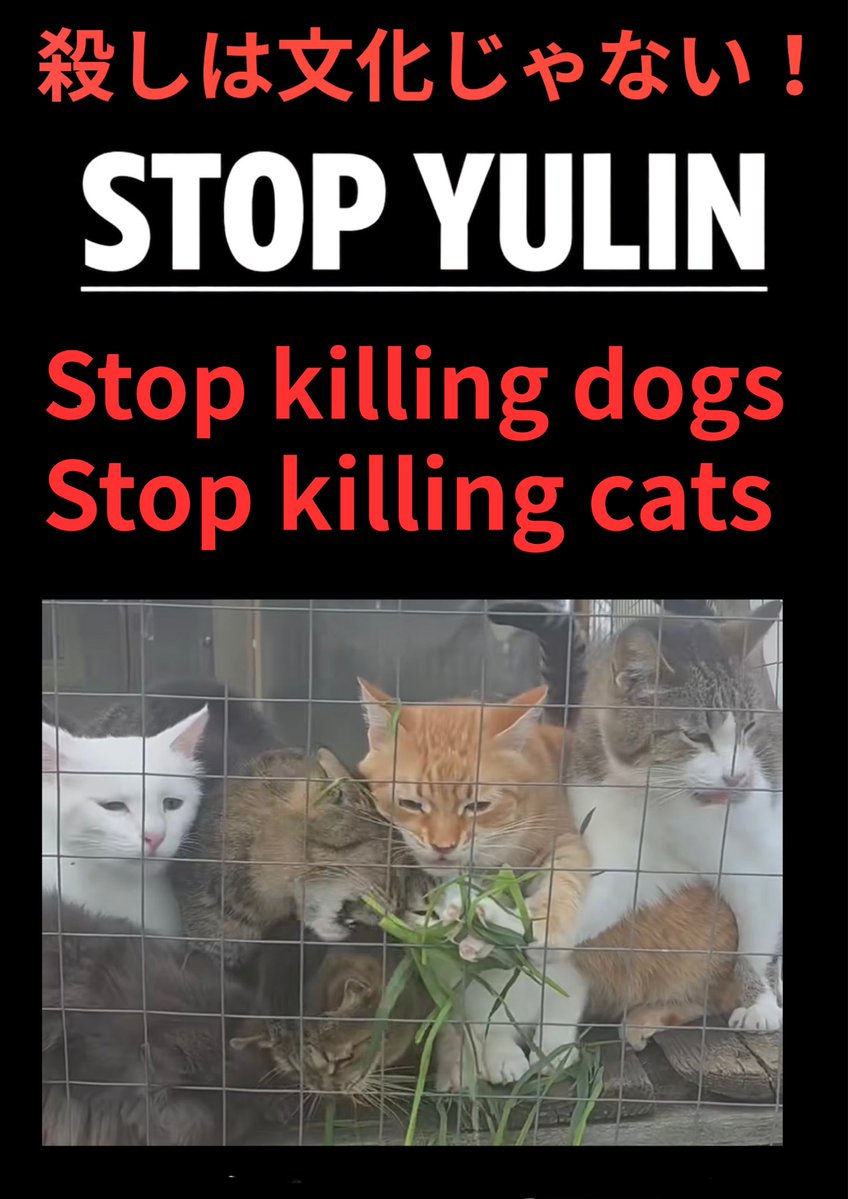 wyNXIfha5aOomqU's tweet photo. #STOP YULIN 
#中国 🇨🇳 https://t.co/NdJ0xKlGX5