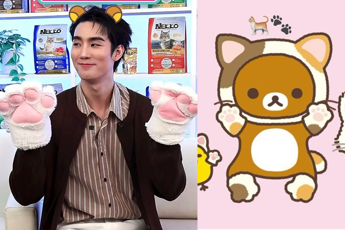 nanaluvy0u's tweet photo. ใช่เยย🐻(🐈)💕 https://t.co/ZYIQL3hqIR